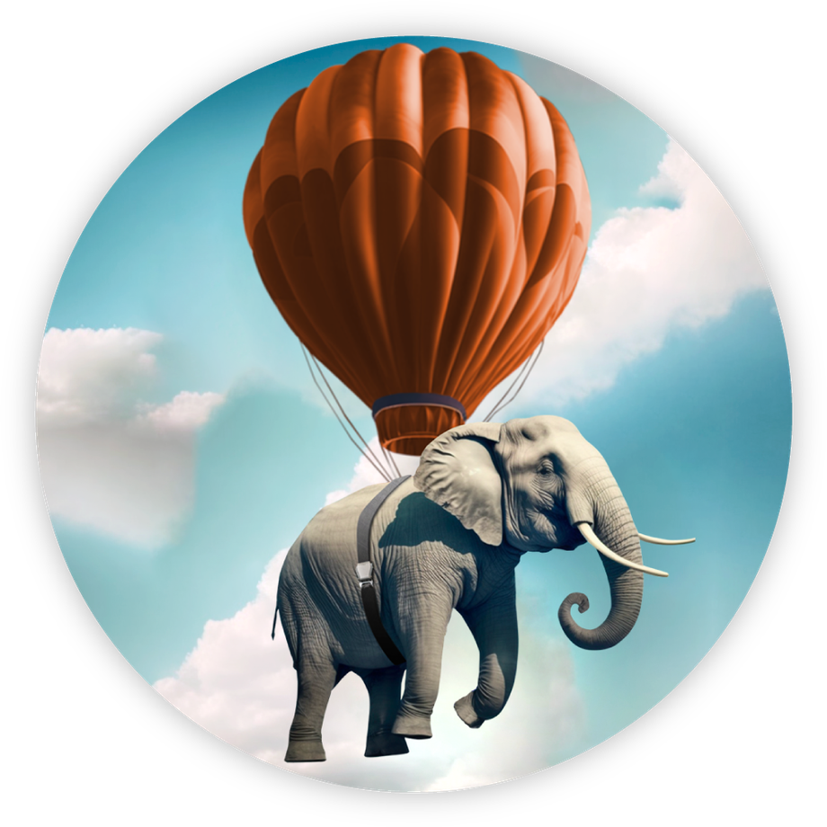 elephant-balloon_920x920.png